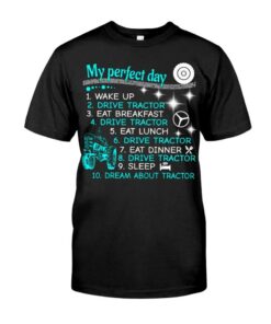 My Perfect Day 3 Classic T-Shirt