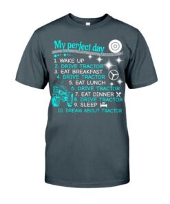 My Perfect Day 3 Classic T-Shirt