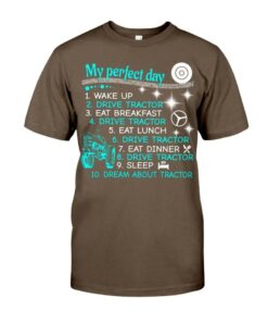 My Perfect Day 3 Classic T-Shirt
