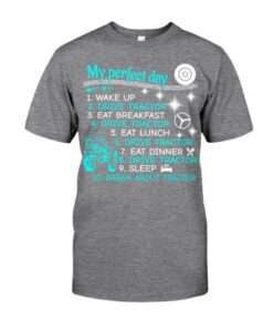 My Perfect Day 3 Classic T-Shirt