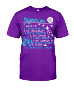 My Perfect Day 3 Classic T-Shirt