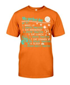 My Perfect Day 3 Classic T-Shirt